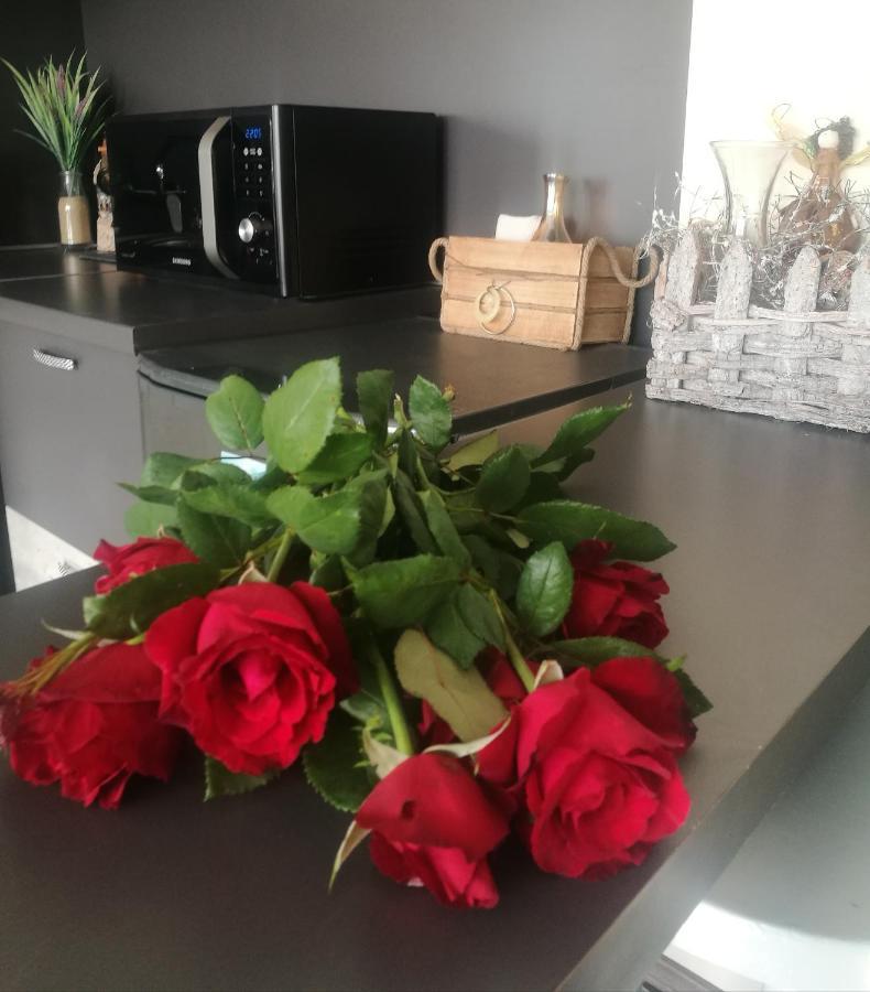 Studio Anastasia Szapareva Banja Kültér fotó