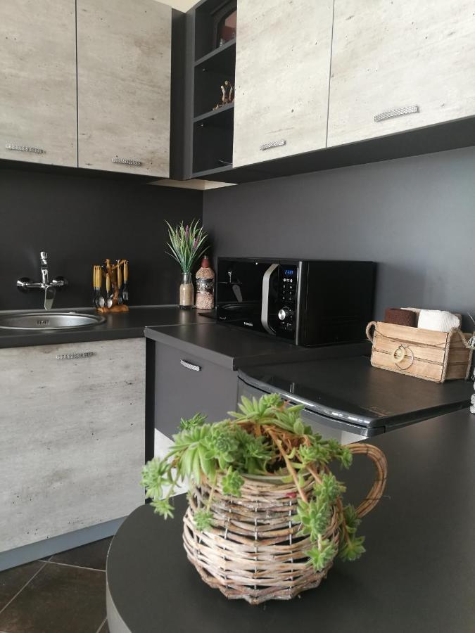 Studio Anastasia Szapareva Banja Kültér fotó